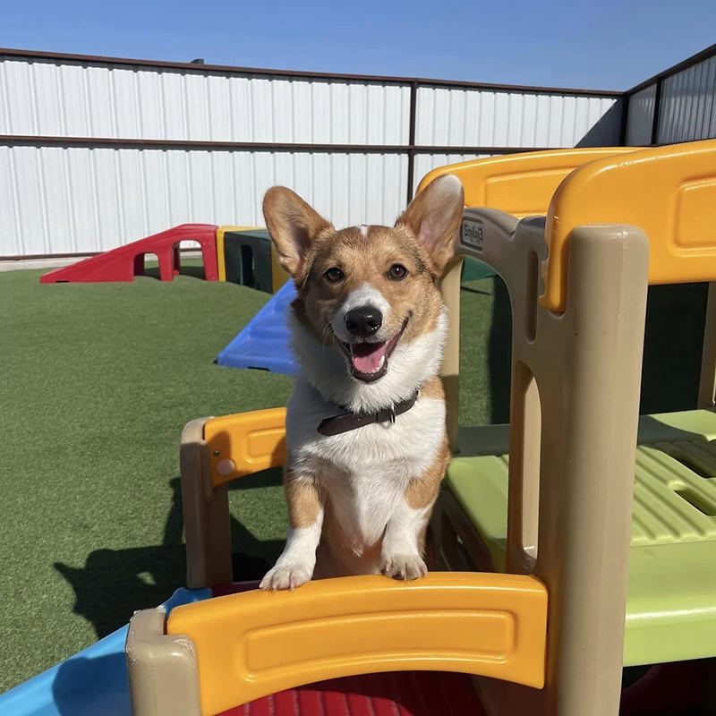 Outdoor play area 5